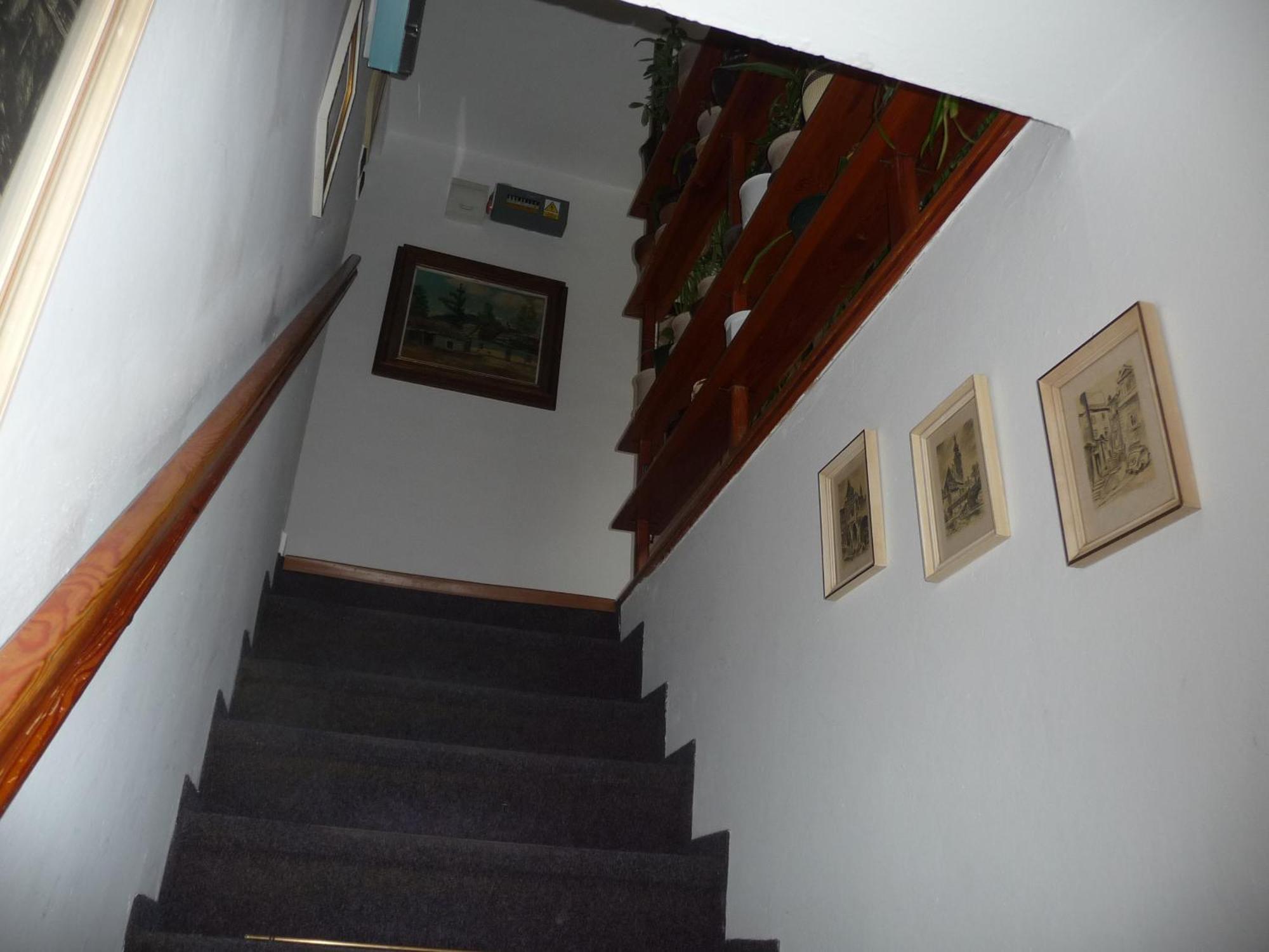 Penzion Zavodsky Cesky Krumlov Bagian luar foto